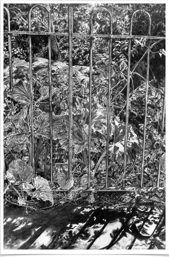 Fence
pencil on paper
28 x 38 cm